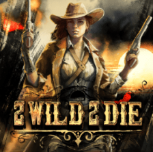 Slot popular - Jocul 91